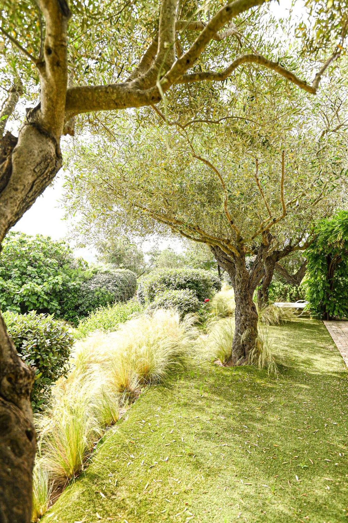 Auberge de l'Oumède Ramatuelle Esterno foto